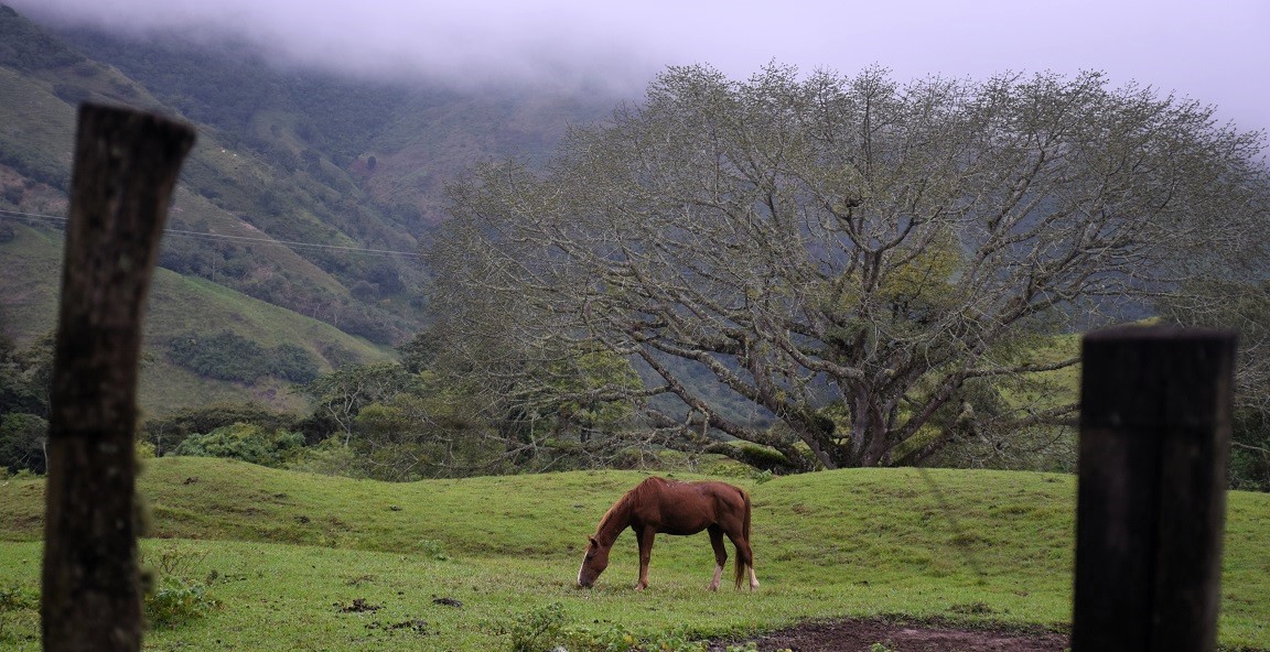 Tesoros de Honduras (IV)