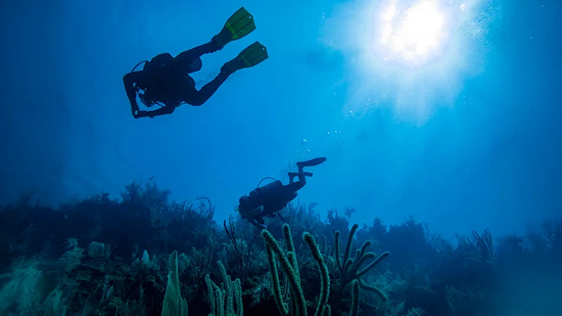 Pretours Honduras - Mayoristas: Caribe y Buceo. CATM 2025.