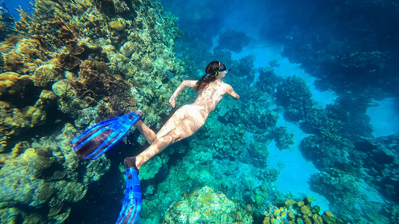 Pretours Honduras: Caribe y Buceo. CATM 2025.